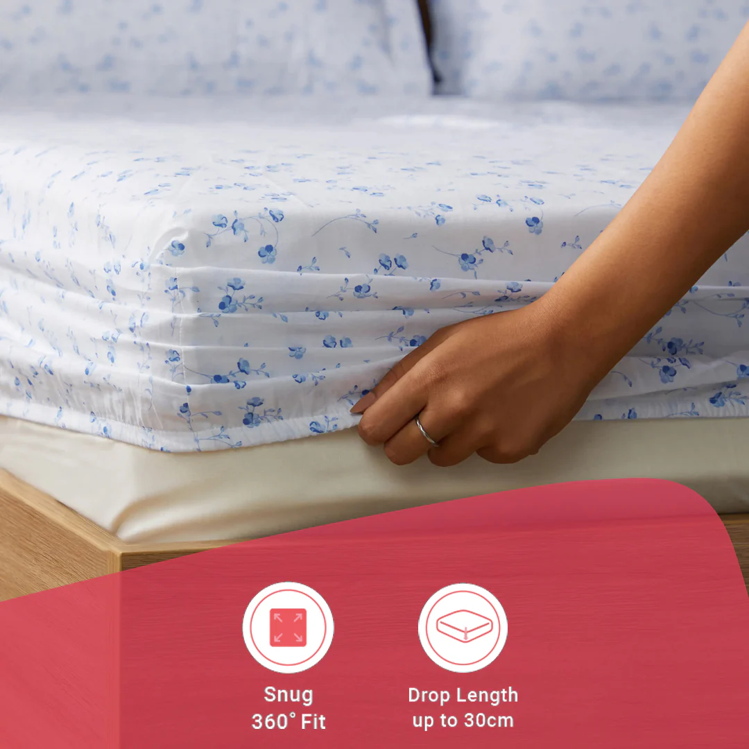 Bloomshire Classic | Everyday Charm Printed Cotton Fitted Sheet Set-Ocean Blue - Image 15