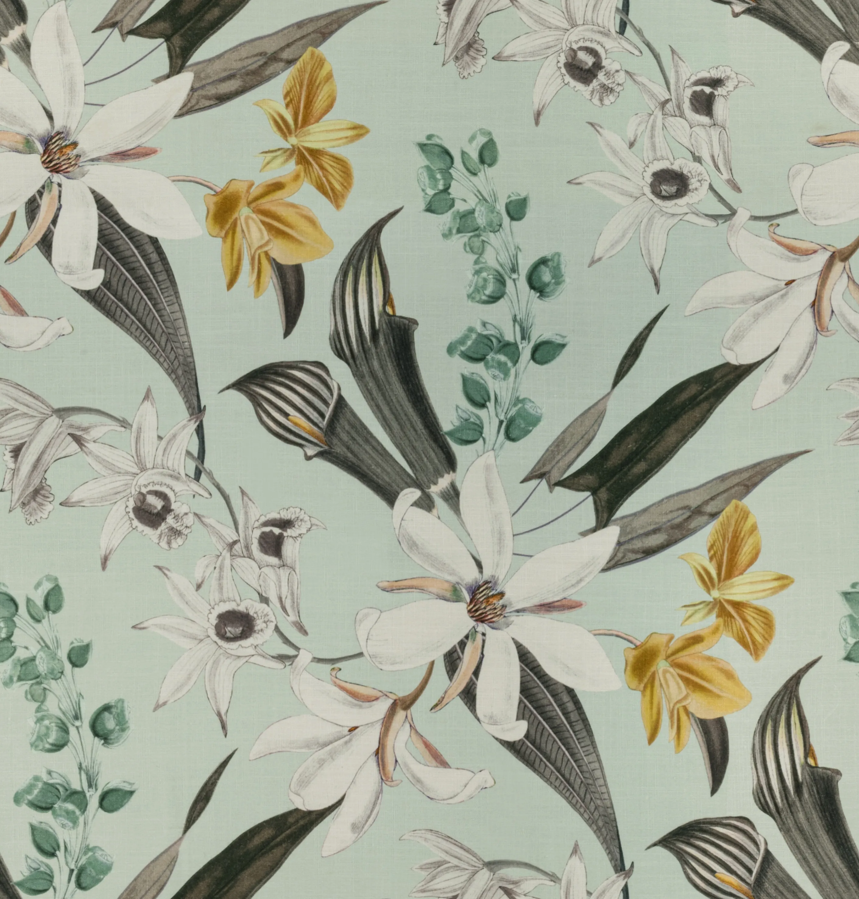 Nomad's Diary Edition 4 - Frangipani | Multipurpose Fabric - Image 3