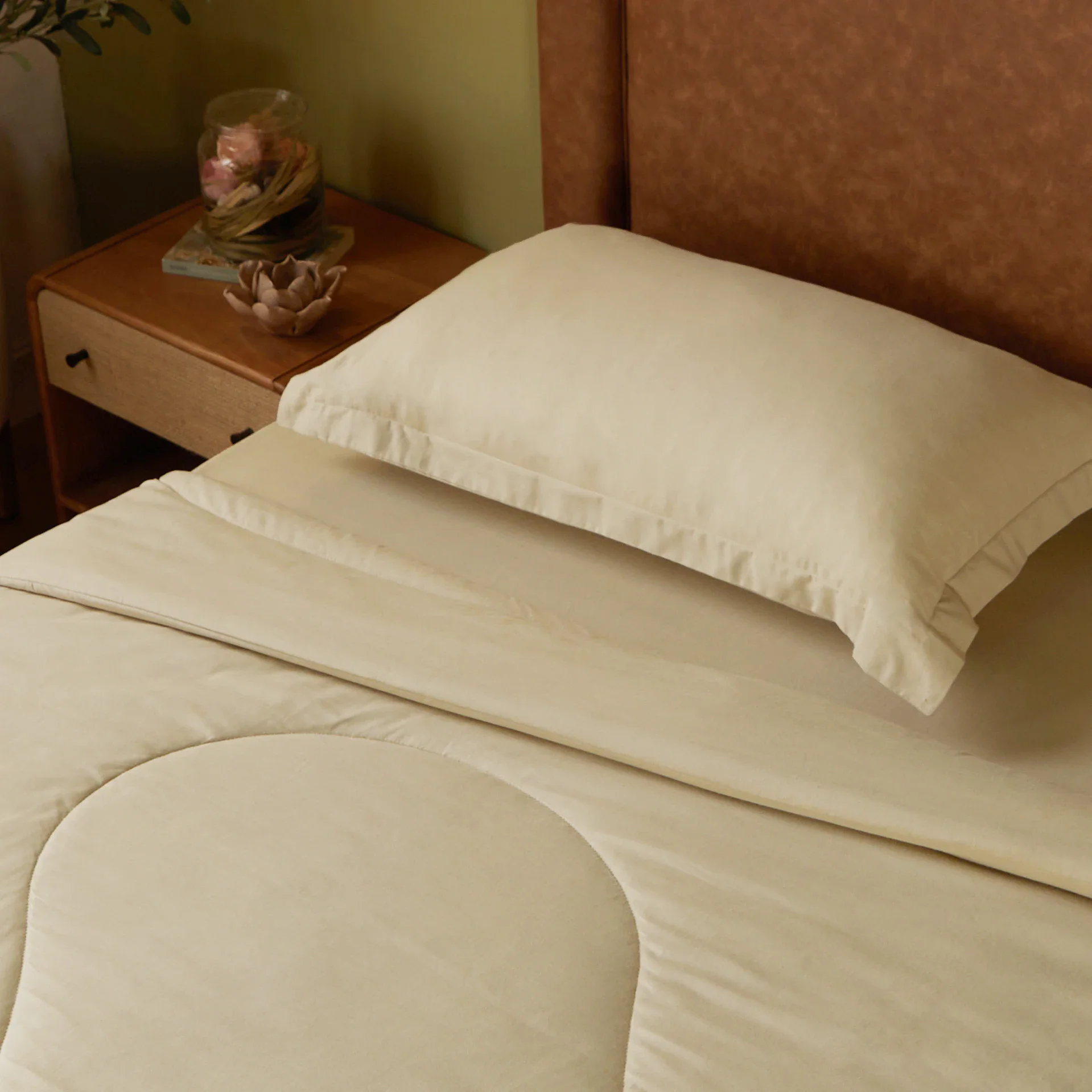 Paleto | Everyday Hues Cotton Solid Dyed 120GSM Comforter-Beige - Image 2