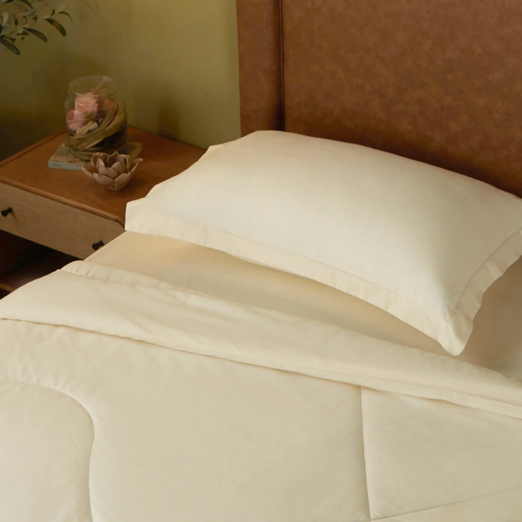 Paleto | Everyday Hues Cotton Solid Dyed 120GSM Comforter-Ivory - Image 2