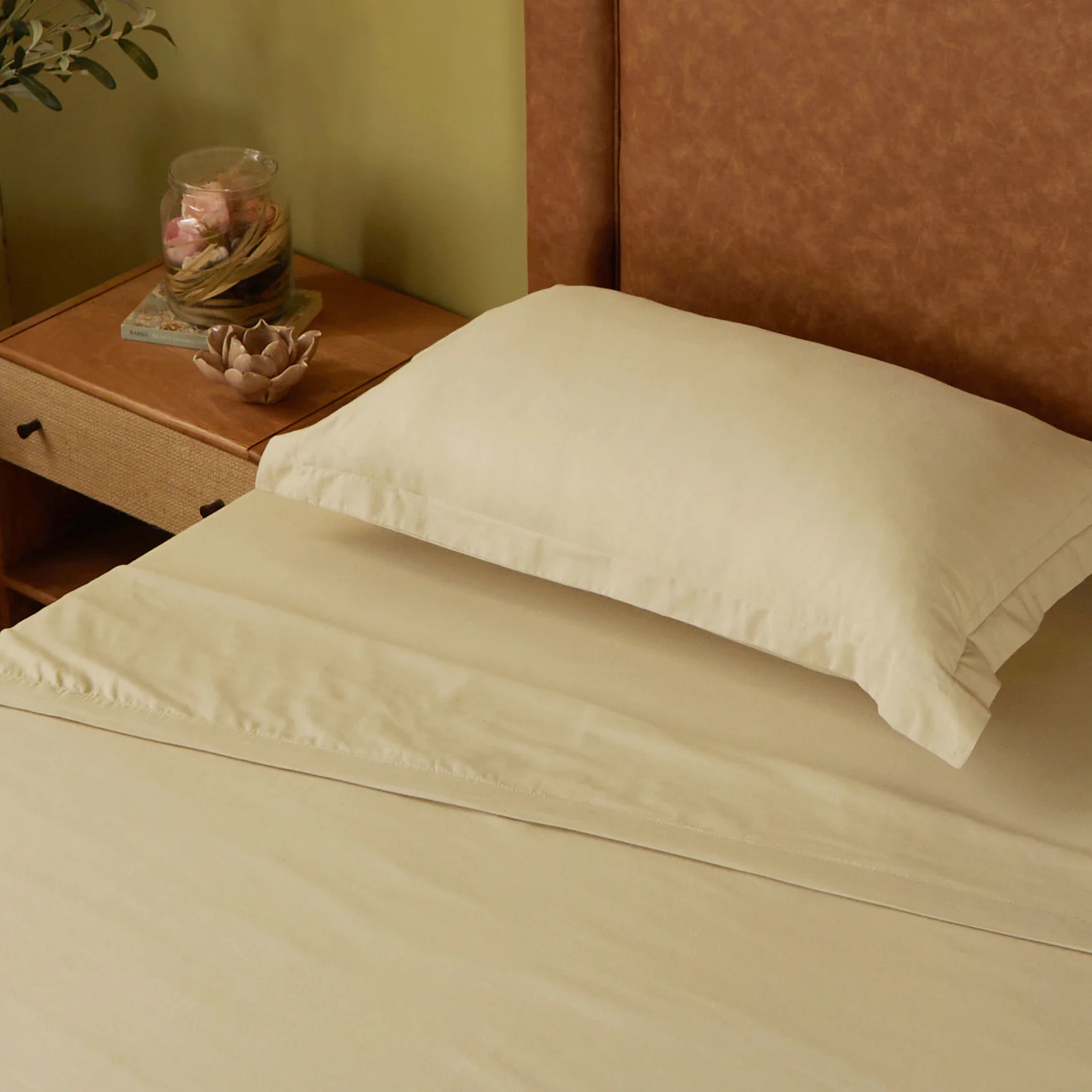 Paleto | Everyday Hues Cotton Solid Dyed Dohar with Super Soft Flannel Layering-Beige - Image 2